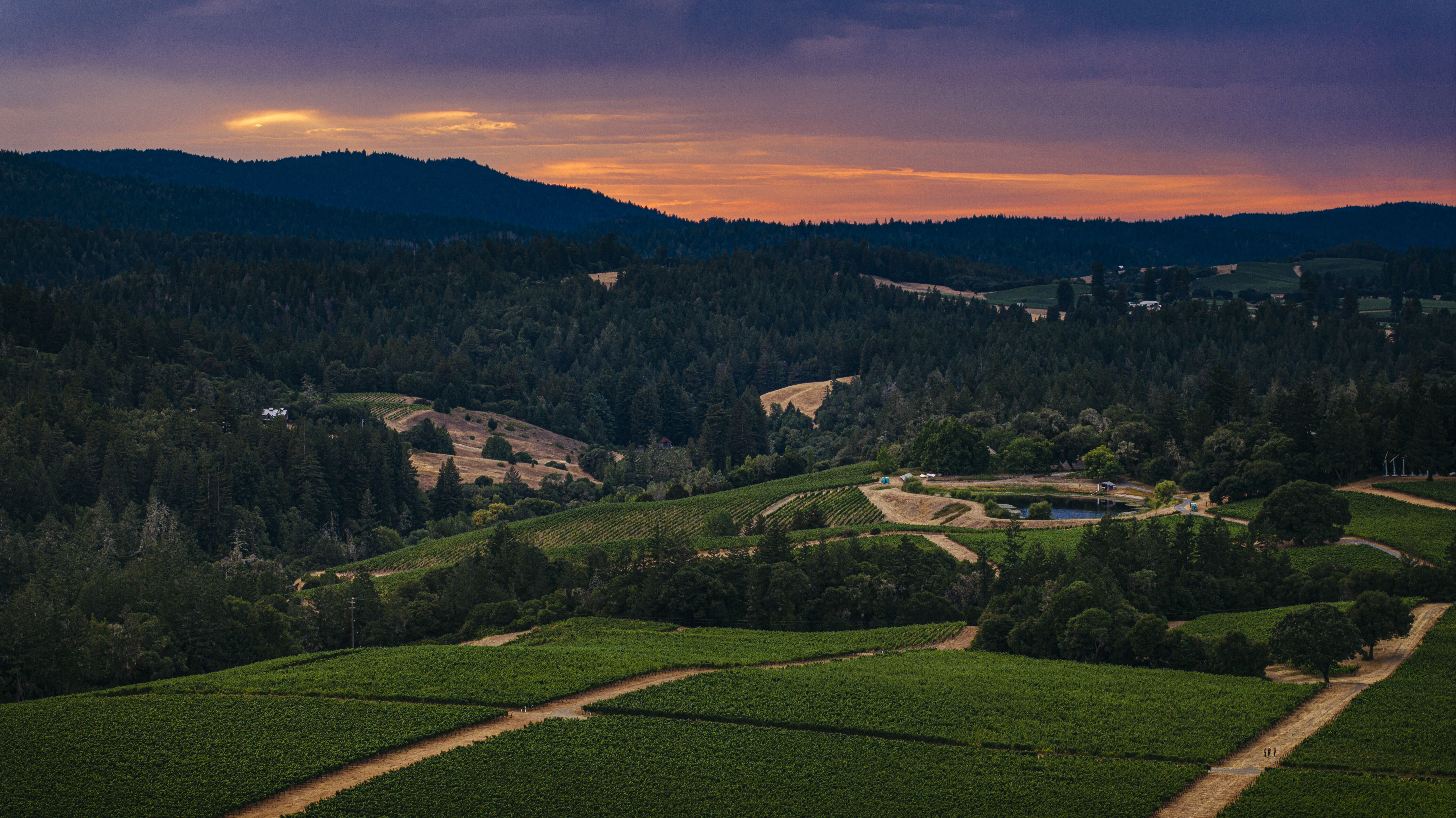 Sunset at the Edmeades Vineyard, Mendocino County, California